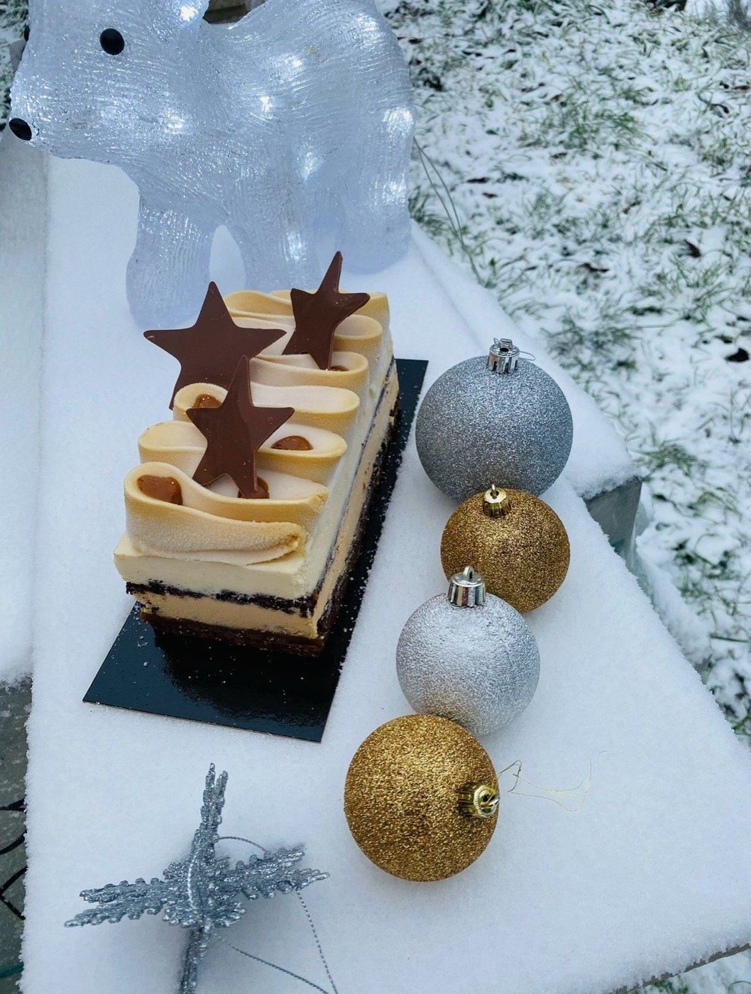 Bûche glacée — création