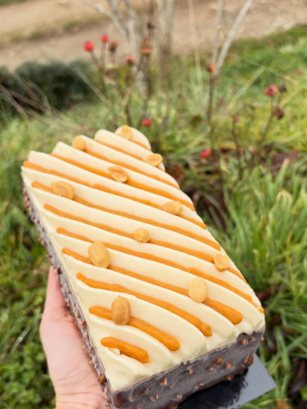 Bûche glacée — détail
